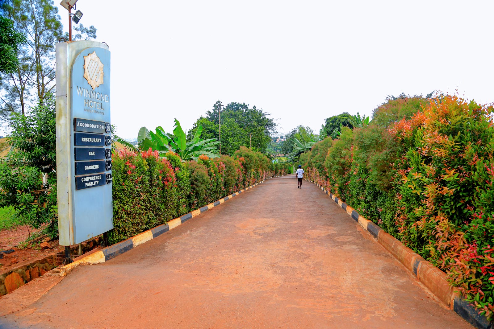 Driveway to Gate
